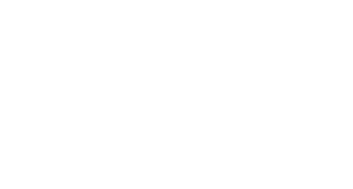 Prof. Dr. Tamer Said